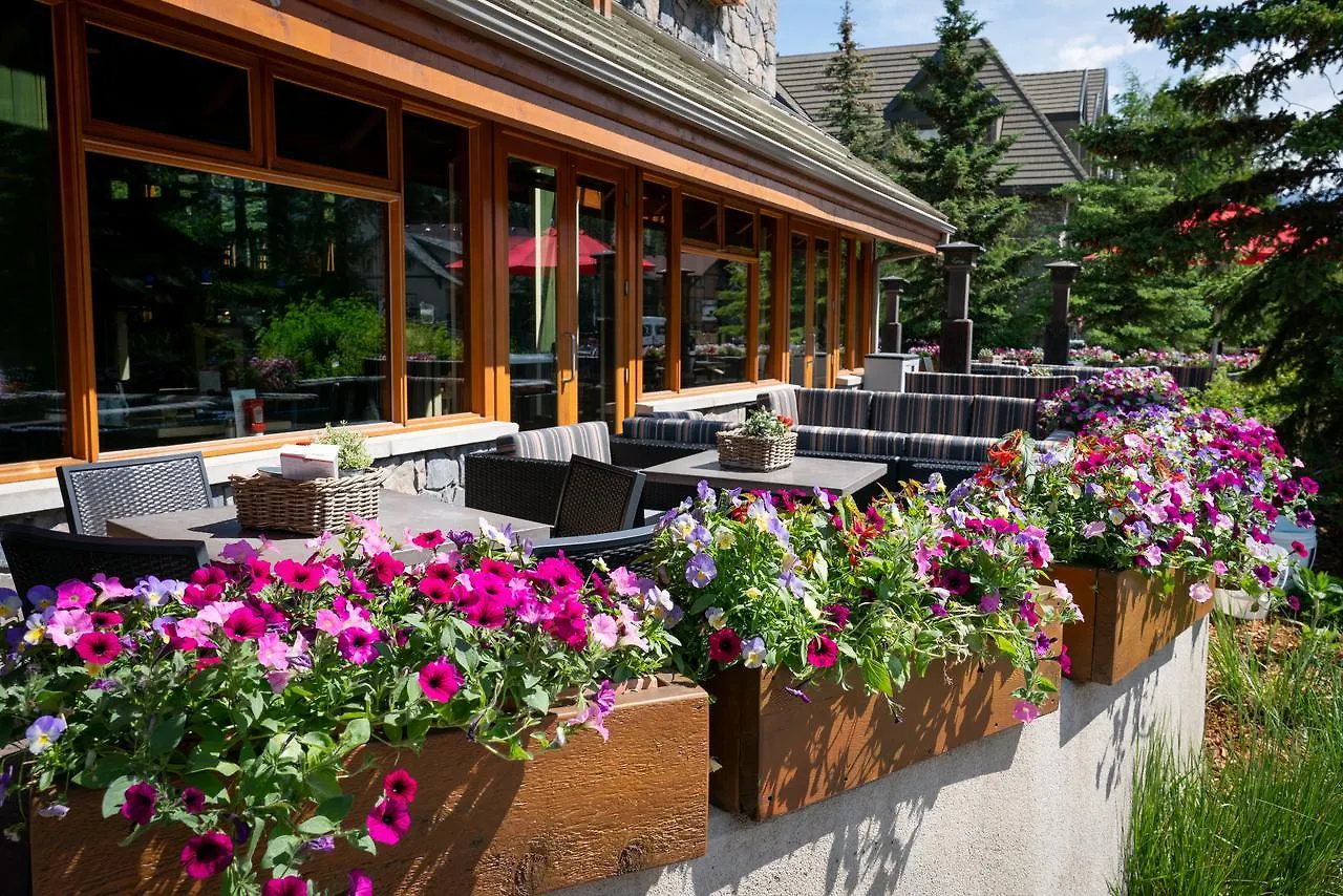 Fox Hotel And Suites Banff
